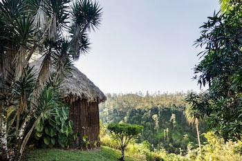 Gaia Riverlodge