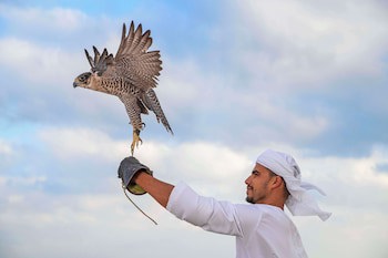 Anantara Sir Bani Yas Island Al Yamm Villa Resort - Adults Only
