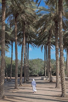 Anantara Sir Bani Yas Island Al Yamm Villa Resort - Adults Only