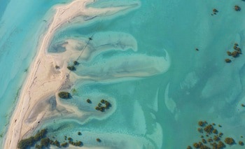 Anantara Sir Bani Yas Island Al Yamm Villa Resort - Adults Only