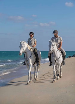 Anantara Sir Bani Yas Island Al Yamm Villa Resort - Adults Only