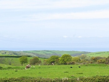 The Old Wainhouse