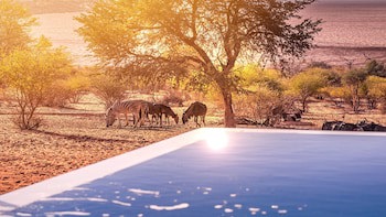 Bagatelle Kalahari Game Ranch