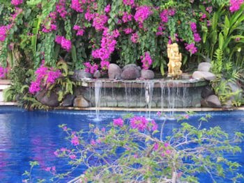 The Watergarden