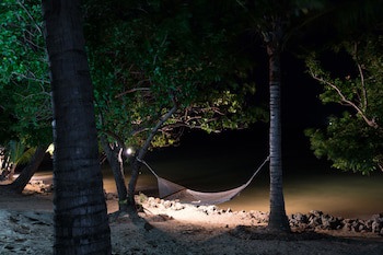 Funky Fish Beach & Surf Resort - Hostel