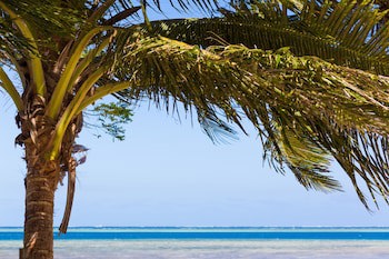 Funky Fish Beach & Surf Resort - Hostel