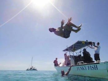 Funky Fish Beach & Surf Resort - Hostel