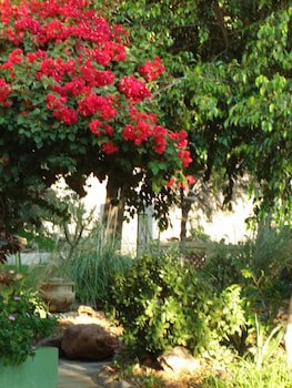 Corona Guest Farm