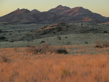 Corona Guest Farm