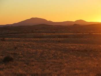 Corona Guest Farm