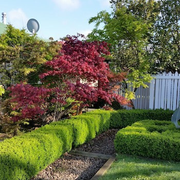 Designer Cottage B&B
