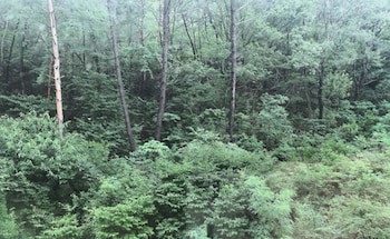 Hotel Geumosan