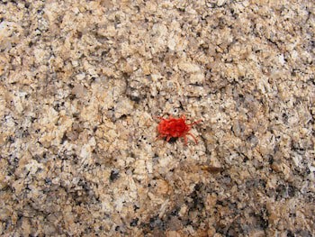 Kashana Namibia