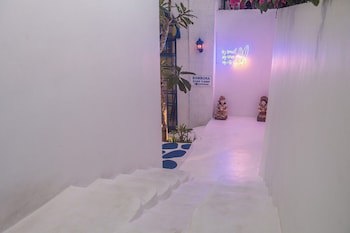 Bombora Surf Camp