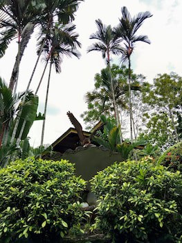 Sepilok Jungle Resort