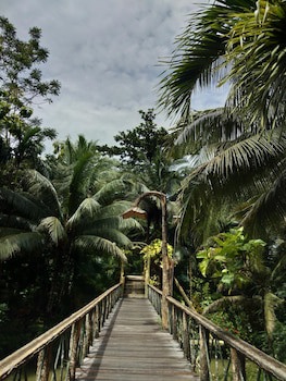 Sepilok Jungle Resort