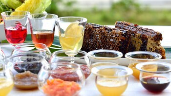 The Terrace Club At Busena Adult Only