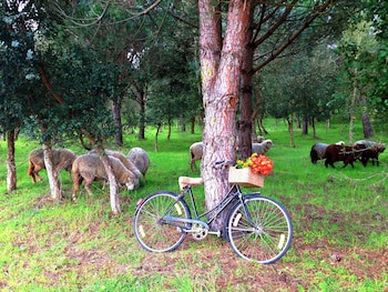 Quinta Dos Machados - Countryside Hotel & Spa