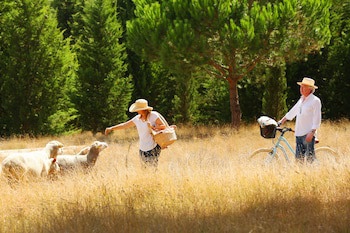Quinta Dos Machados - Countryside Hotel & Spa