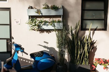 Estate Spa Boutique Hotel - Adults Only
