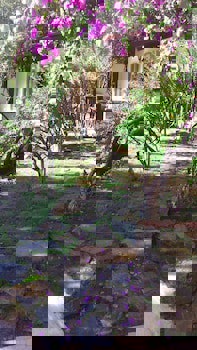 Moonshine Hotel & Suites