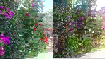 Moonshine Hotel & Suites