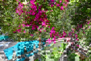 Moonshine Hotel & Suites