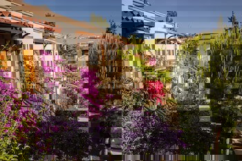 Moonshine Hotel & Suites