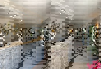 Moonshine Hotel & Suites