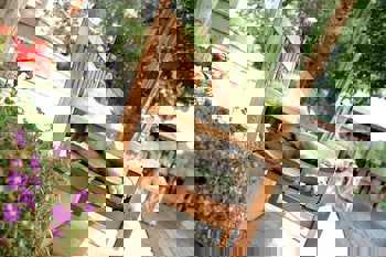 Beyaz Ev Agva - Adults Only