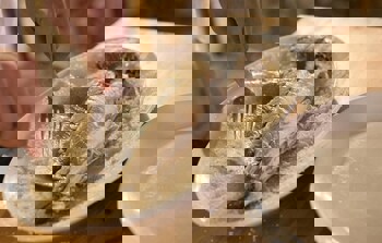 Captain Karas Holiday Apartments