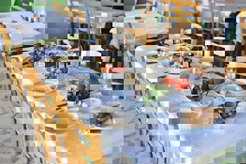 Captain Karas Holiday Apartments