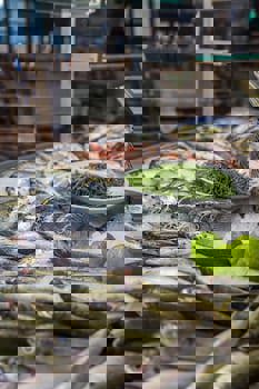 Captain Karas Holiday Apartments