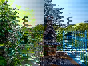 Azzurro Luxury Holiday Villas