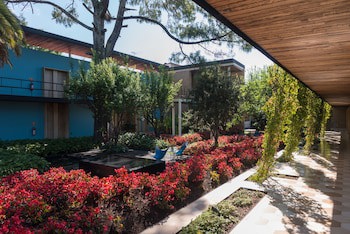 Hotel Bo