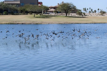 Azul Talavera Country Club