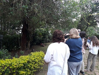 Ambady Estate