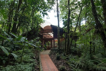 Ficus Sunset Suites