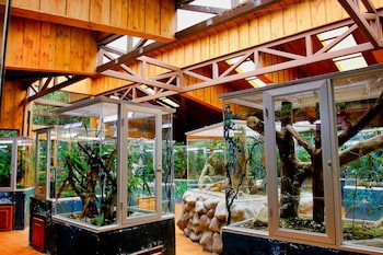 Ficus Sunset Suites