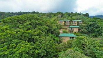 Ficus Sunset Suites