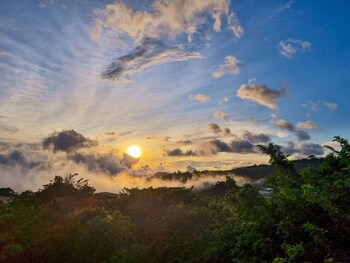 Ficus Sunset Suites