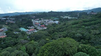 Ficus Sunset Suites