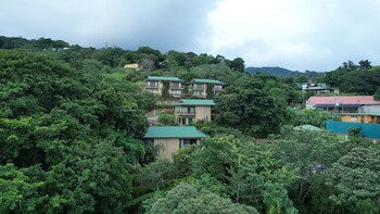 Ficus Sunset Suites