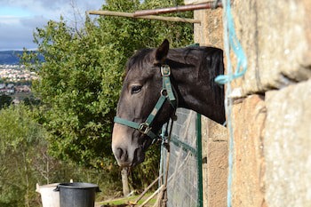Quinta Da Mata
