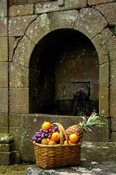 Quinta Da Mata