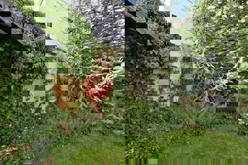 Cappadocia Estates - Special Class