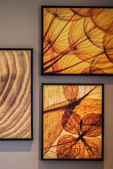 Art.Hotel Transamerica Collection