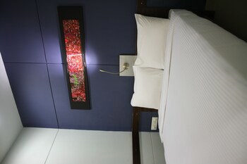 Ginger Faridabad