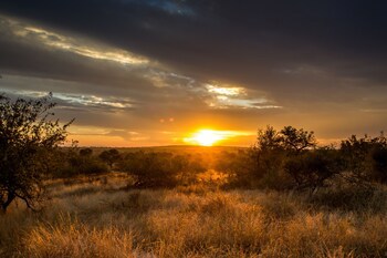 Ezulwini Lodges