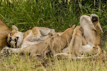 Ezulwini Lodges